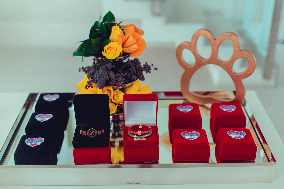 senhoritas ludy siqueira aniversario infantil fotografia fotografa festa patrulha canina decor decoração tema salvador foto album book melhor criativa diferente ideias ideia bolo cake lembrancinha lembrança