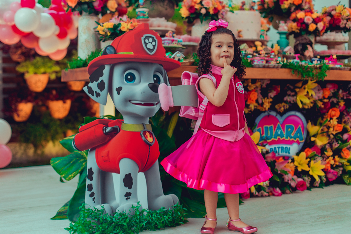 senhoritas ludy siqueira aniversario infantil fotografia fotografa festa patrulha canina decor decoração tema salvador foto album book melhor criativa diferente ideias ideia bolo cake fantasia roupa vestido menina