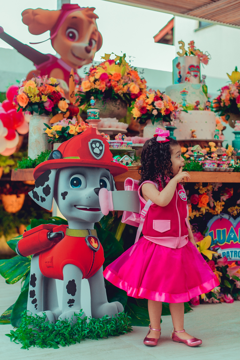 senhoritas ludy siqueira aniversario infantil fotografia fotografa festa patrulha canina decor decoração tema salvador foto album book melhor criativa diferente ideias ideia bolo cake fantasia roupa vestido menina