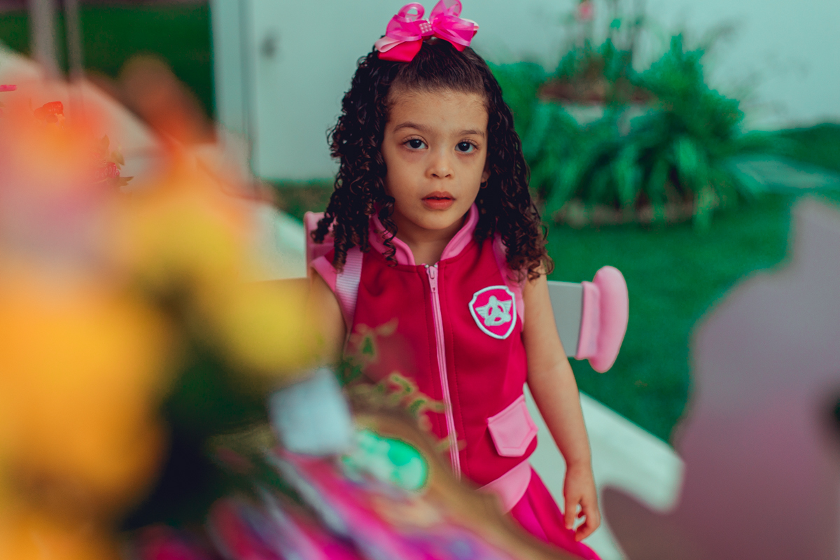 senhoritas ludy siqueira aniversario infantil fotografia fotografa festa patrulha canina decor decoração tema salvador foto album book melhor criativa diferente ideias ideia bolo cake fantasia roupa vestido menina