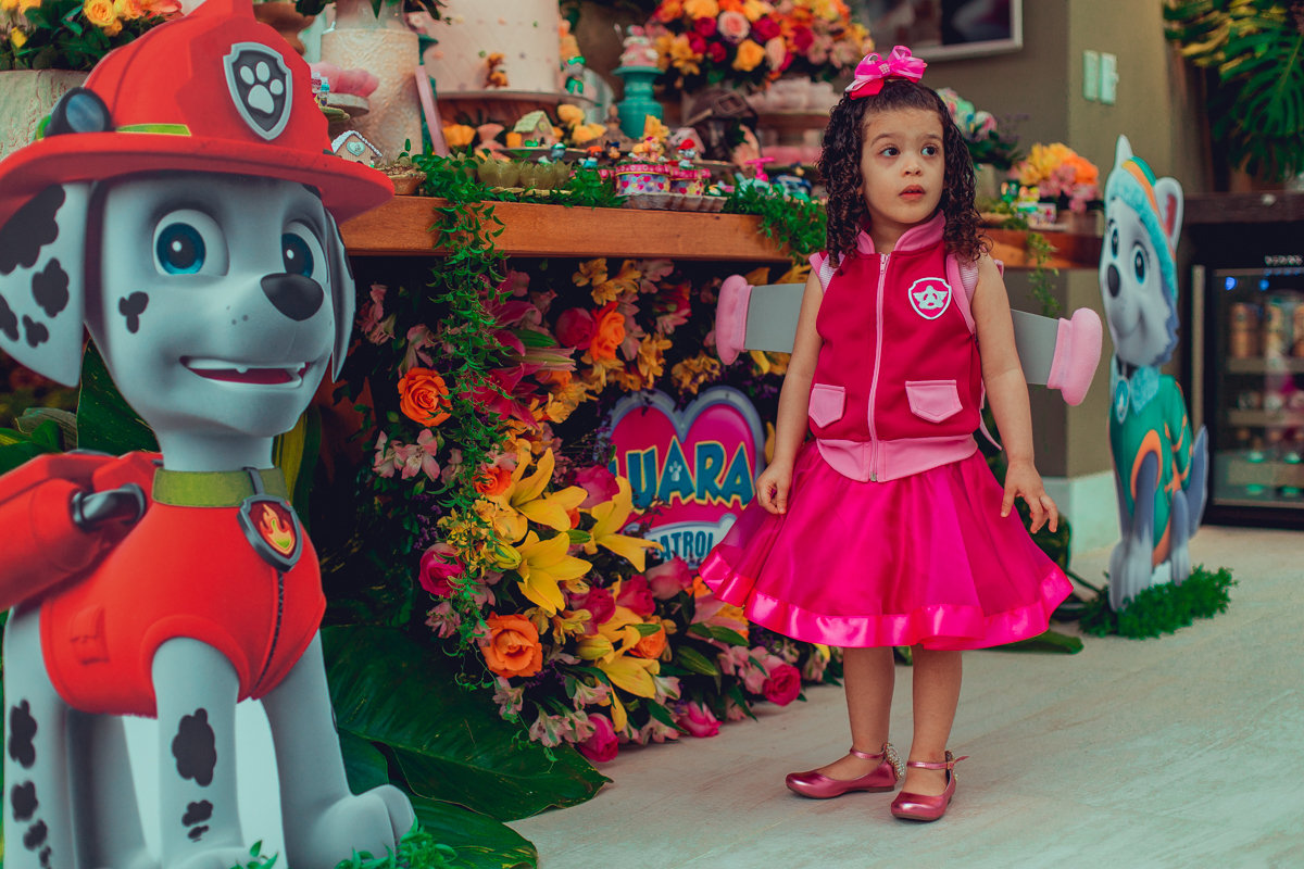 senhoritas ludy siqueira aniversario infantil fotografia fotografa festa patrulha canina decor decoração tema salvador foto album book melhor criativa diferente ideias ideia bolo cake fantasia roupa vestido menina