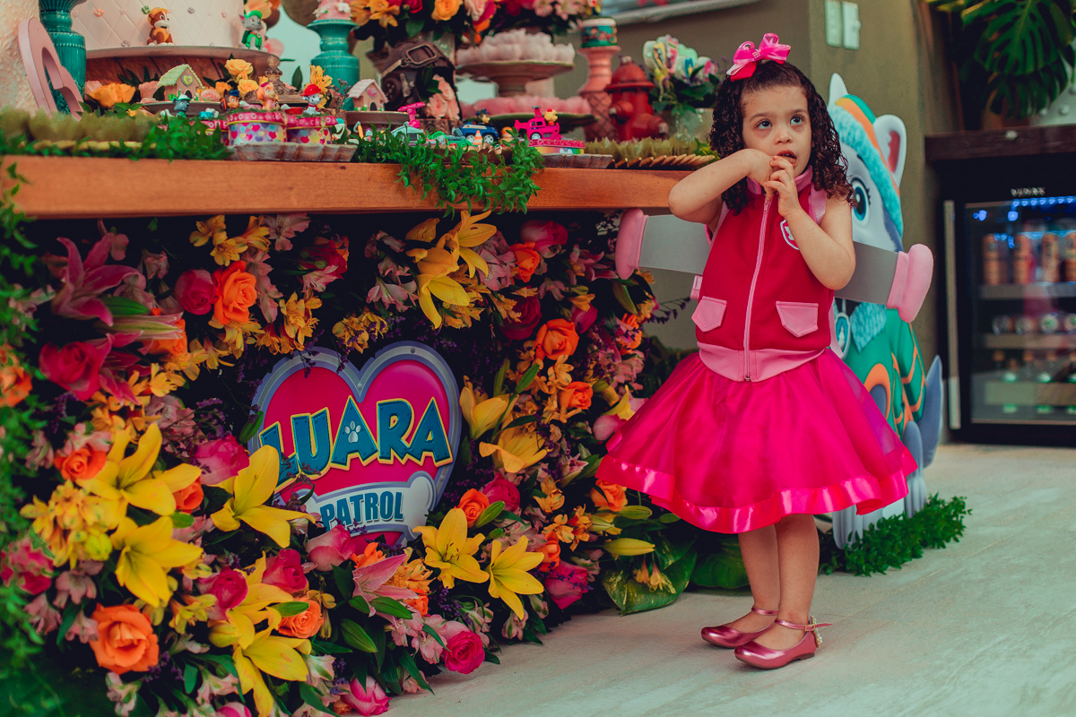 senhoritas ludy siqueira aniversario infantil fotografia fotografa festa patrulha canina decor decoração tema salvador foto album book melhor criativa diferente ideias ideia bolo cake fantasia roupa vestido menina