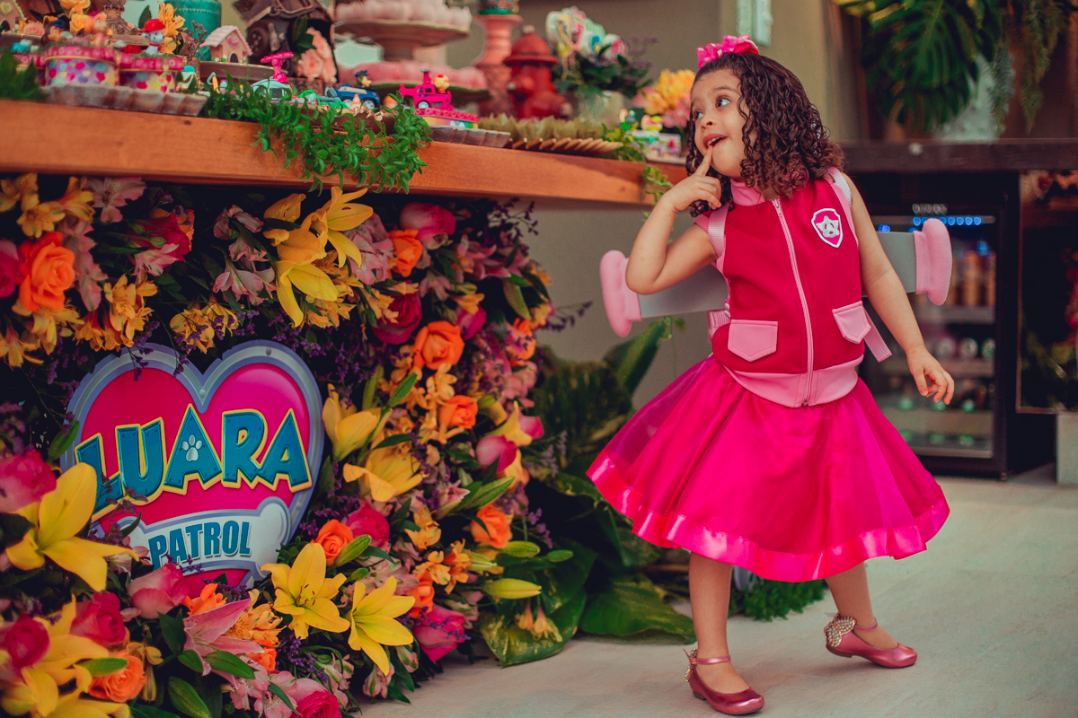 senhoritas ludy siqueira aniversario infantil fotografia fotografa festa patrulha canina decor decoração tema salvador foto album book melhor criativa diferente ideias ideia bolo cake fantasia roupa vestido menina