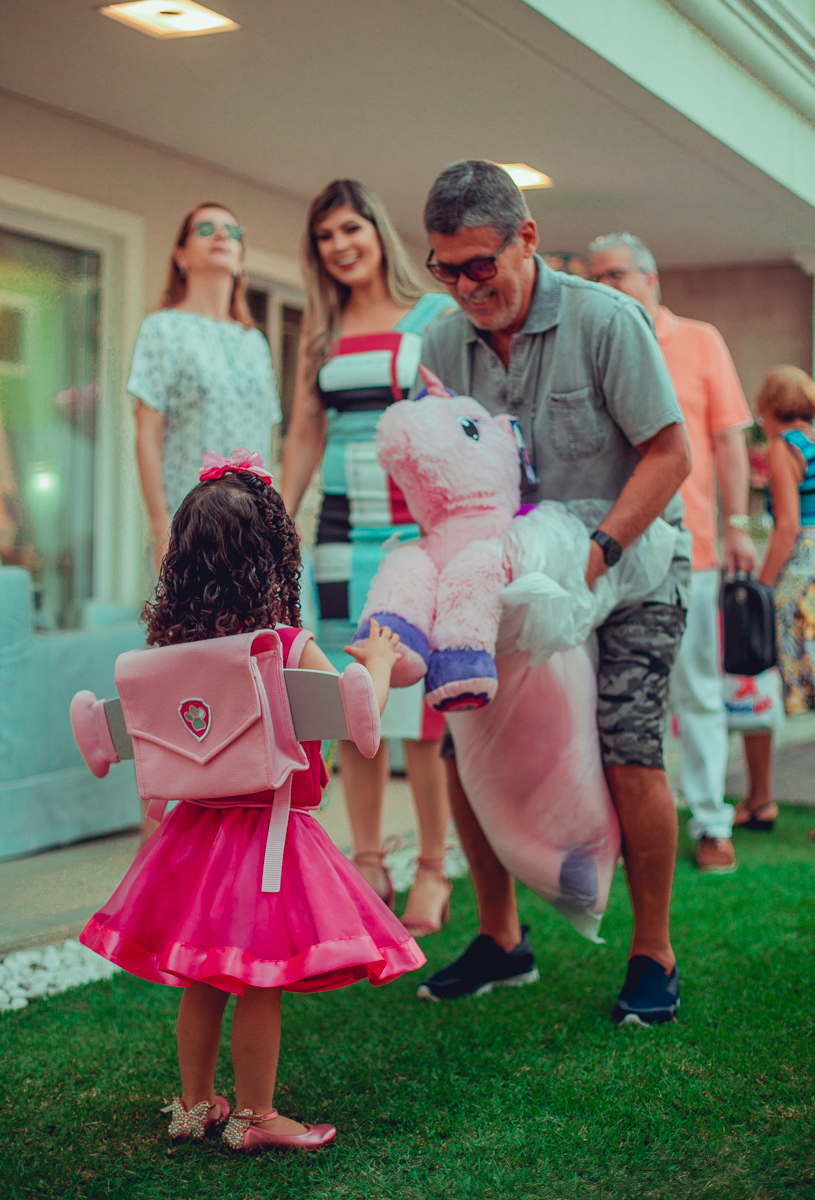 senhoritas ludy siqueira aniversario infantil fotografia fotografa festa patrulha canina decor decoração tema salvador foto album book melhor criativa diferente ideias ideia bolo cake fantasia roupa vestido menina