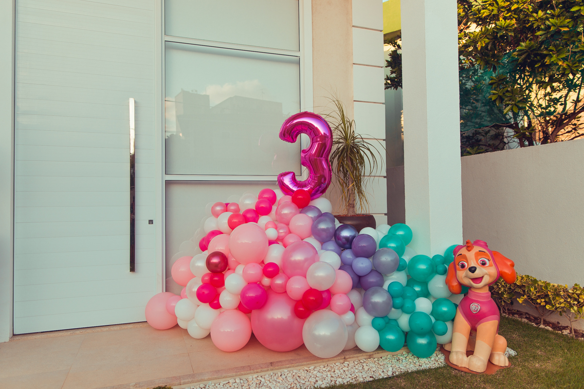 senhoritas ludy siqueira aniversario infantil fotografia fotografa festa patrulha canina decor decoração tema salvador foto album book melhor criativa diferente ideias ideia bolo cake balao desconstruido