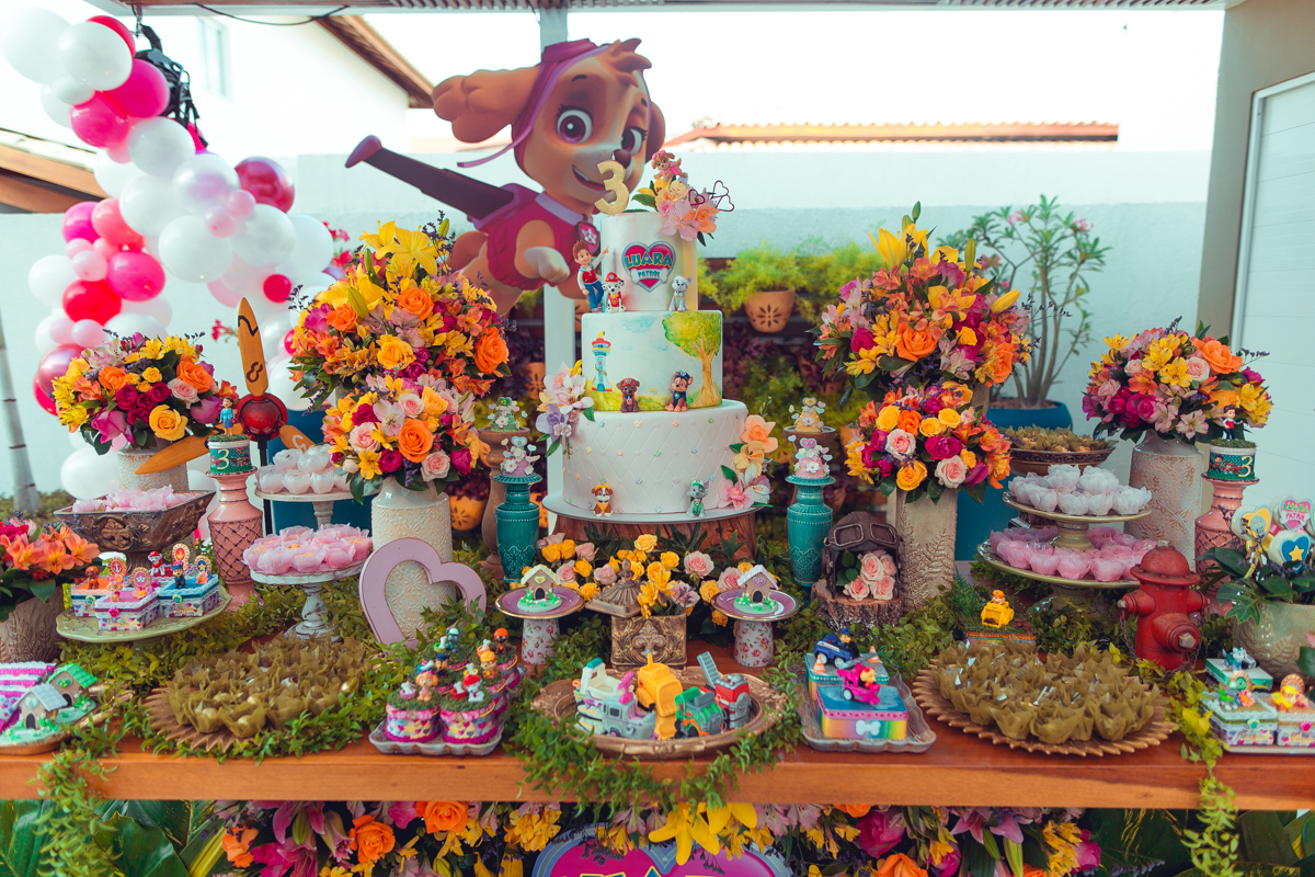 senhoritas ludy siqueira aniversario infantil fotografia fotografa festa patrulha canina decor decoração tema salvador foto album book melhor criativa diferente ideias ideia