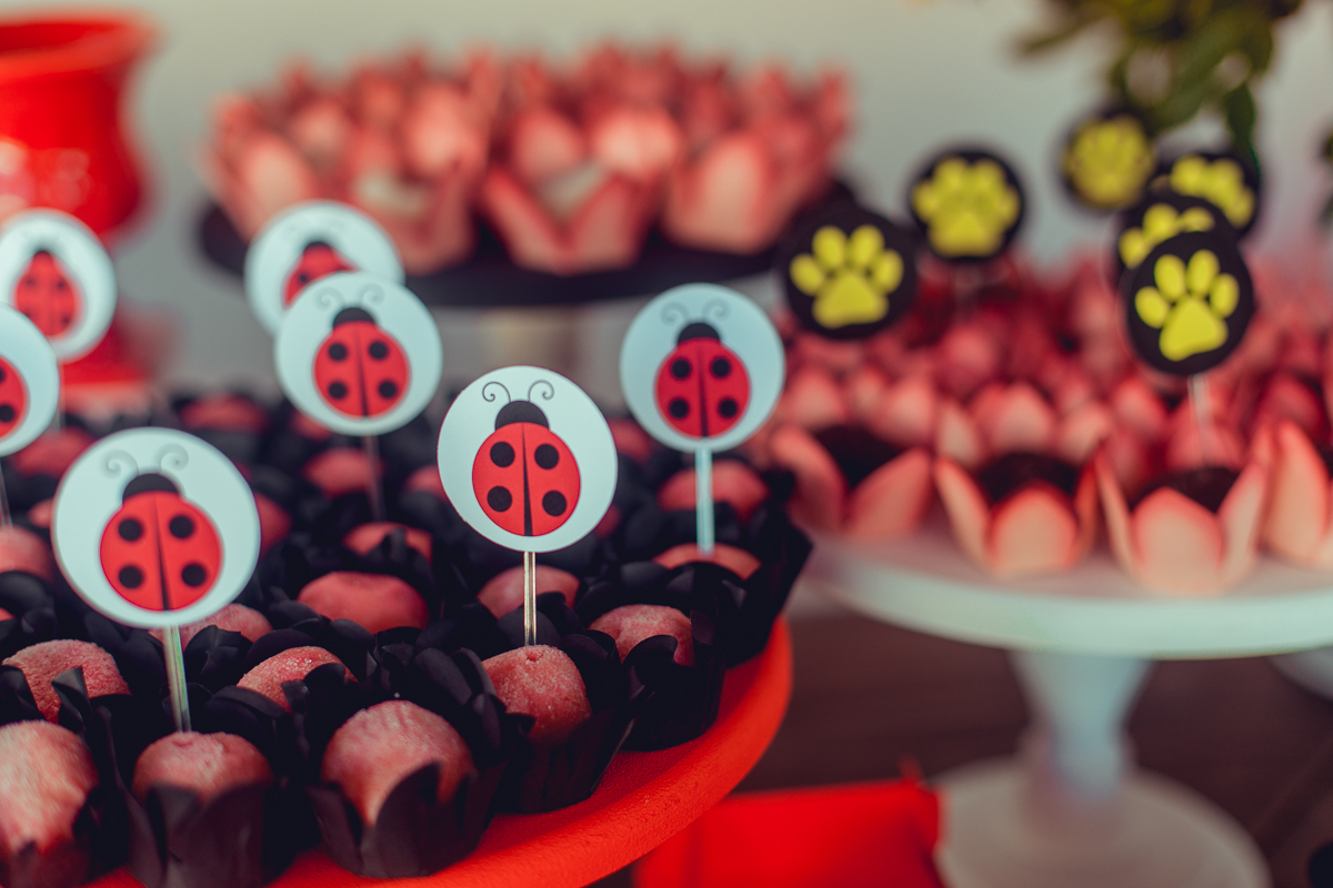 aniversario infantil senhoritas fotografia foto fotografa crianças um ano 1 ladybug decoração decor festa criativa diferente balao desconstruido party ideas