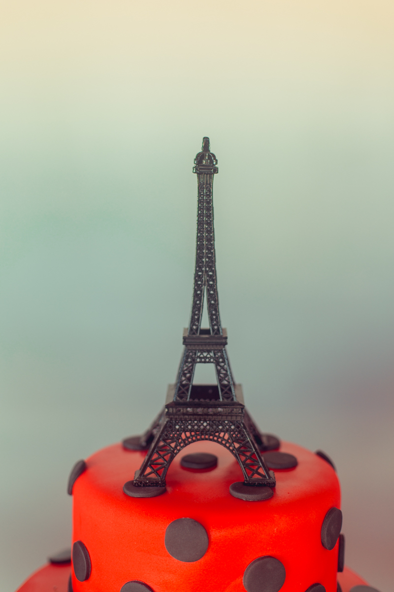 aniversario infantil senhoritas fotografia foto fotografa crianças um ano 1 ladybug decoração decor festa criativa diferente balao desconstruido party ideas bolo cake