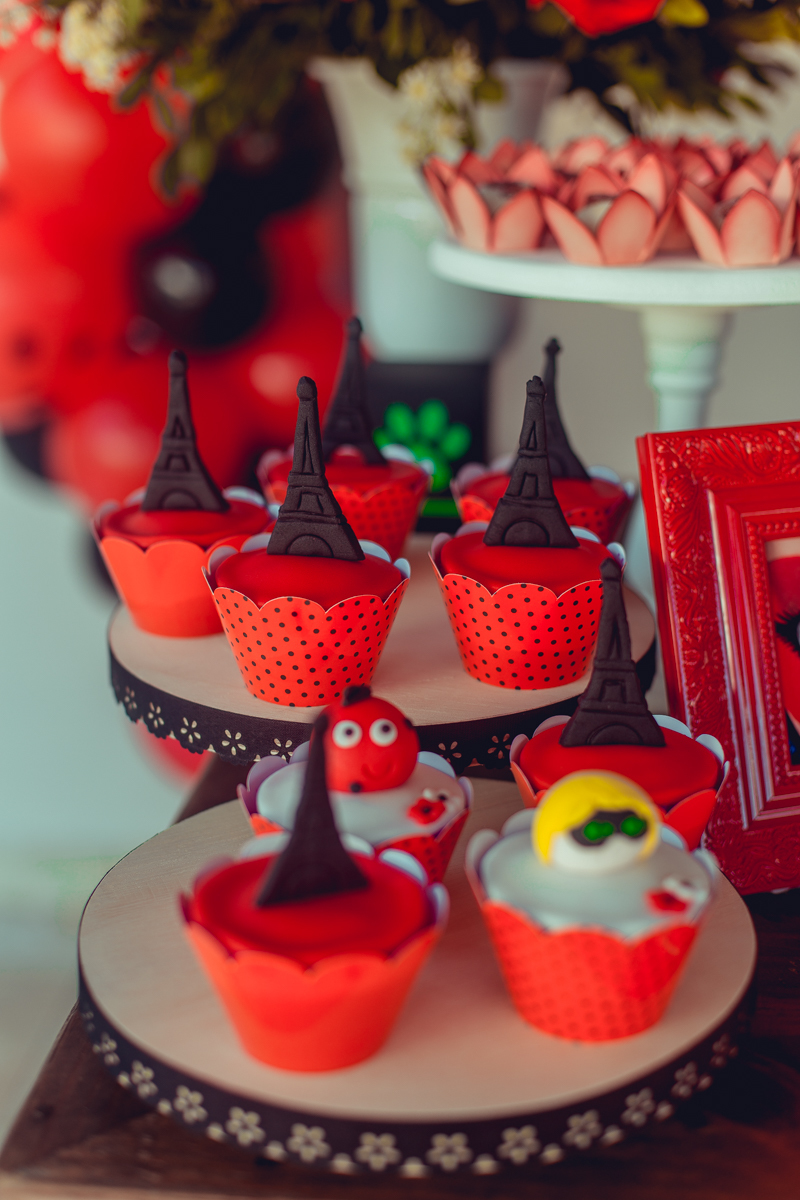 aniversario infantil senhoritas fotografia foto fotografa crianças um ano 1 ladybug decoração decor festa criativa diferente balao desconstruido party ideas