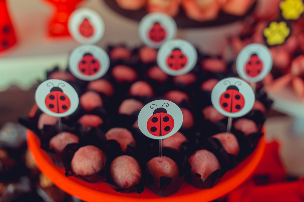 aniversario infantil senhoritas fotografia foto fotografa crianças um ano 1 ladybug decoração decor festa criativa diferente balao desconstruido party ideas