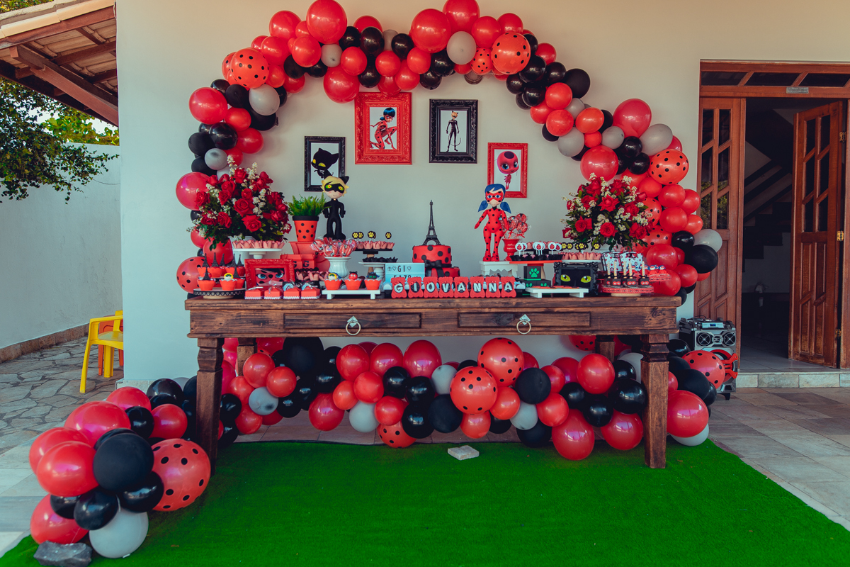 aniversario infantil senhoritas fotografia foto fotografa crianças um ano 1 ladybug decoração decor festa criativa diferente balao desconstruido party ideas