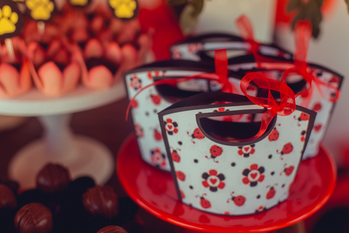 aniversario infantil senhoritas fotografia foto fotografa crianças um ano 1 ladybug decoração decor festa criativa diferente balao desconstruido party ideas