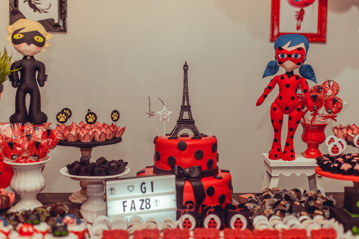 aniversario infantil senhoritas fotografia foto fotografa crianças um ano 1 ladybug decoração decor festa criativa diferente balao desconstruido party ideas