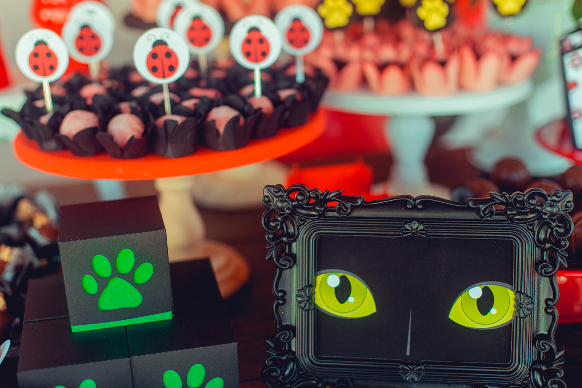 aniversario infantil senhoritas fotografia foto fotografa crianças um ano 1 ladybug decoração decor festa criativa diferente balao desconstruido party ideas