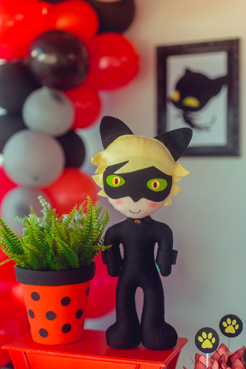 aniversario infantil senhoritas fotografia foto fotografa crianças um ano 1 ladybug decoração decor festa criativa diferente balao desconstruido party ideas