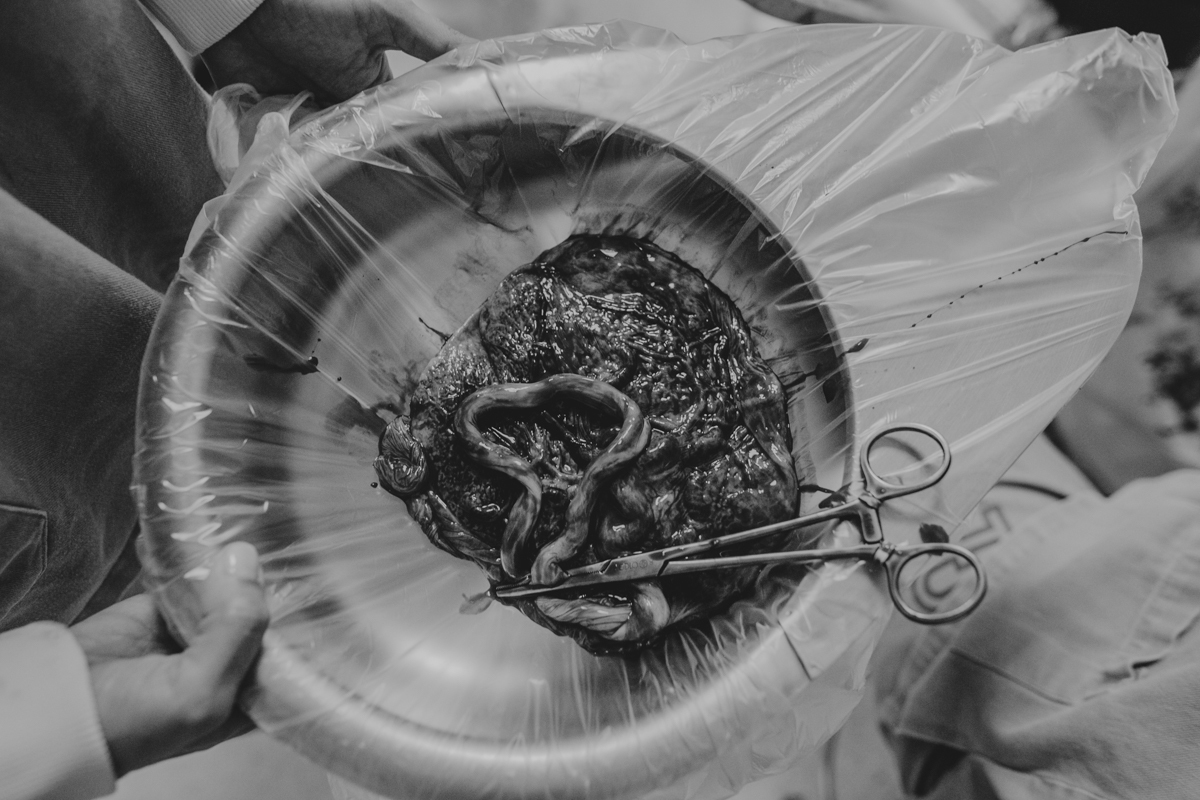 parto natural normal fotografia foto fotografa salvador inspiration nascimento humanizado vervita camila rabello obstare adriana monteiro rodrigo lemos melhor domiciliar na agua em casa hospital portugues aliança maternidade santa maria