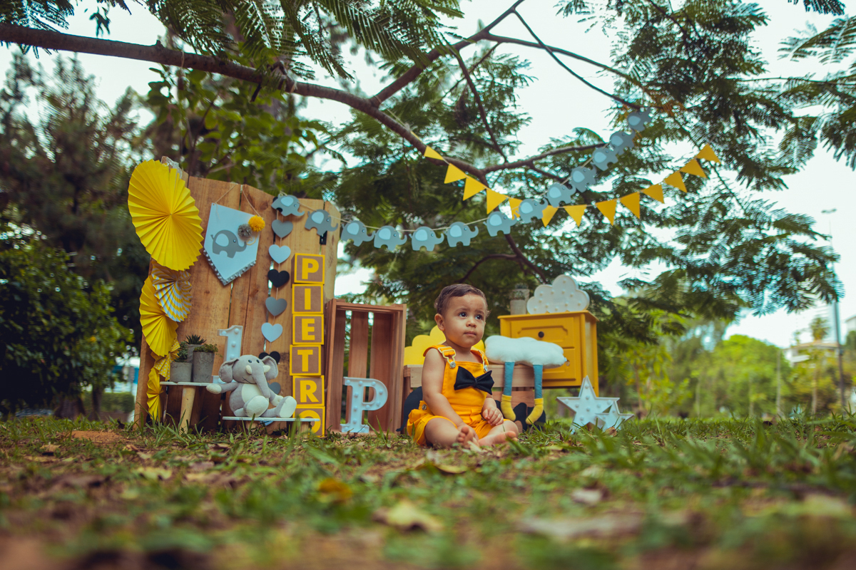smash the cake esmagando o bolo the fruit salvador fotografia ensaio book fotos fotografo fotografa senhoritas decoração cenario bolo decor ideias elefantinho elefante cinza chuva de amor nuvens amarelas estrelas