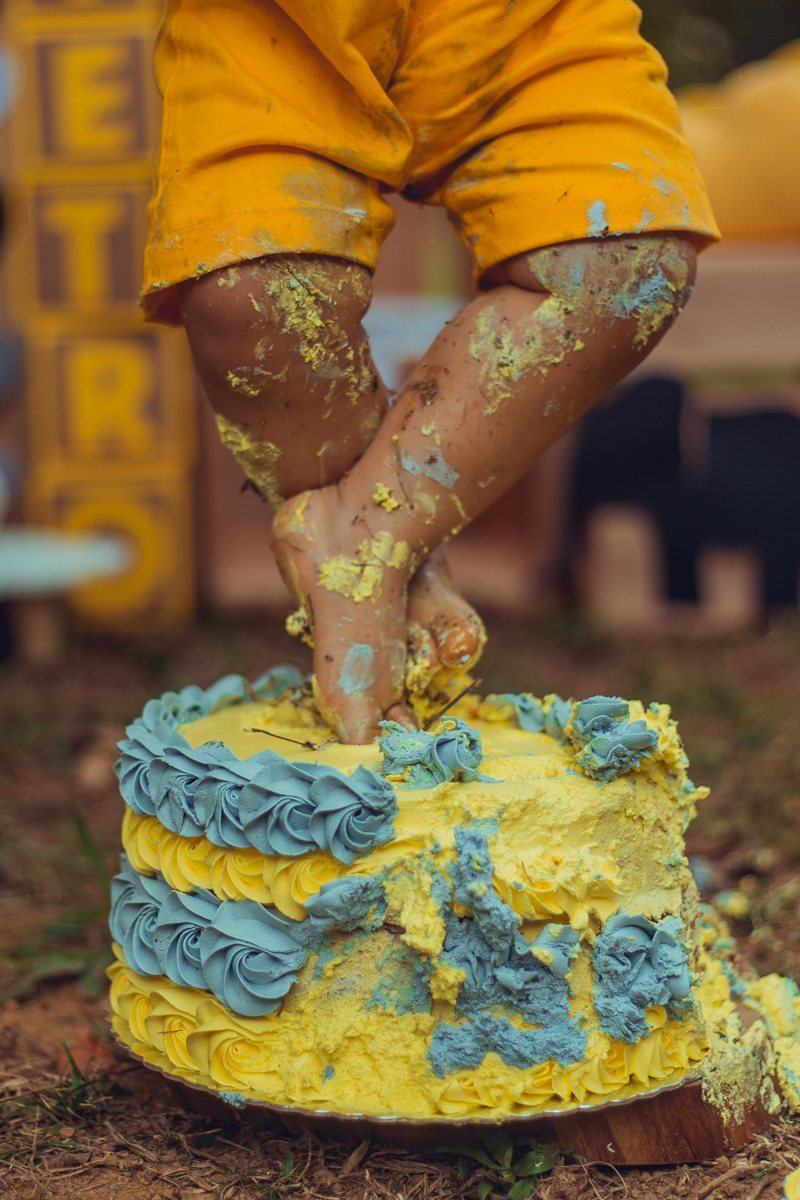 smash the cake esmagando o bolo the fruit salvador fotografia ensaio book fotos fotografo fotografa senhoritas decoração cenario bolo decor ideias elefantinho elefante cinza chuva de amor nuvens amarelas estrelas