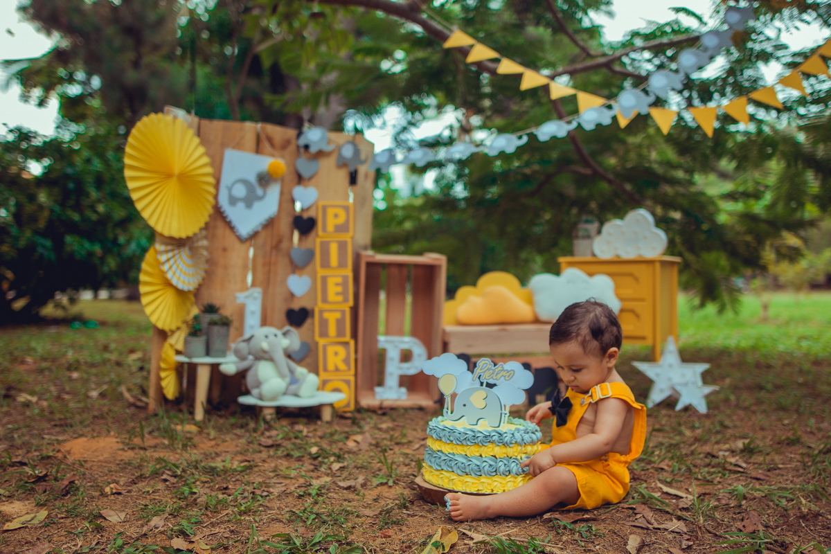 smash the cake esmagando o bolo the fruit salvador fotografia ensaio book fotos fotografo fotografa senhoritas decoração cenario bolo decor ideias elefantinho elefante cinza chuva de amor nuvens amarelas estrelas