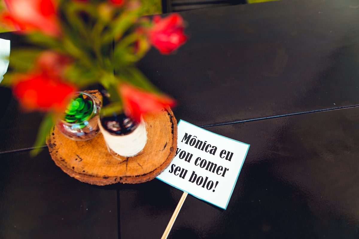 as festas de manuca senhoritas fotografia aniversario adulto infantil decoracao decor foto fotografa fotografo ideias criativa bonita salvador 