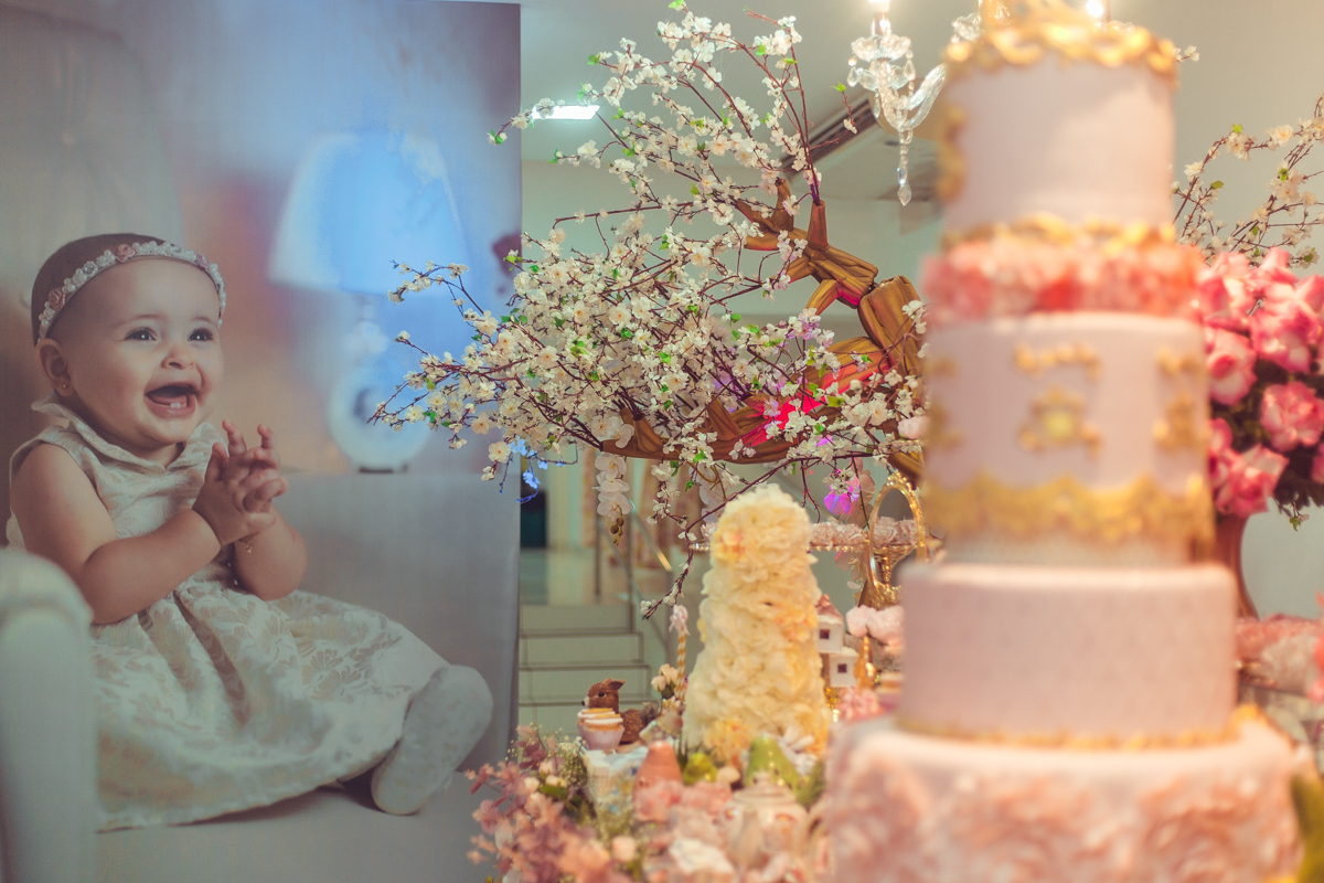 aniversario infantil salvador 1 um ano menina menino kz eventos casa de festas decoração jardim encantado passaros princesa foto fotografa fotografo criativo lindo melhor festa decor decoração animadora flores espaço bolo cake doces modelados finos
