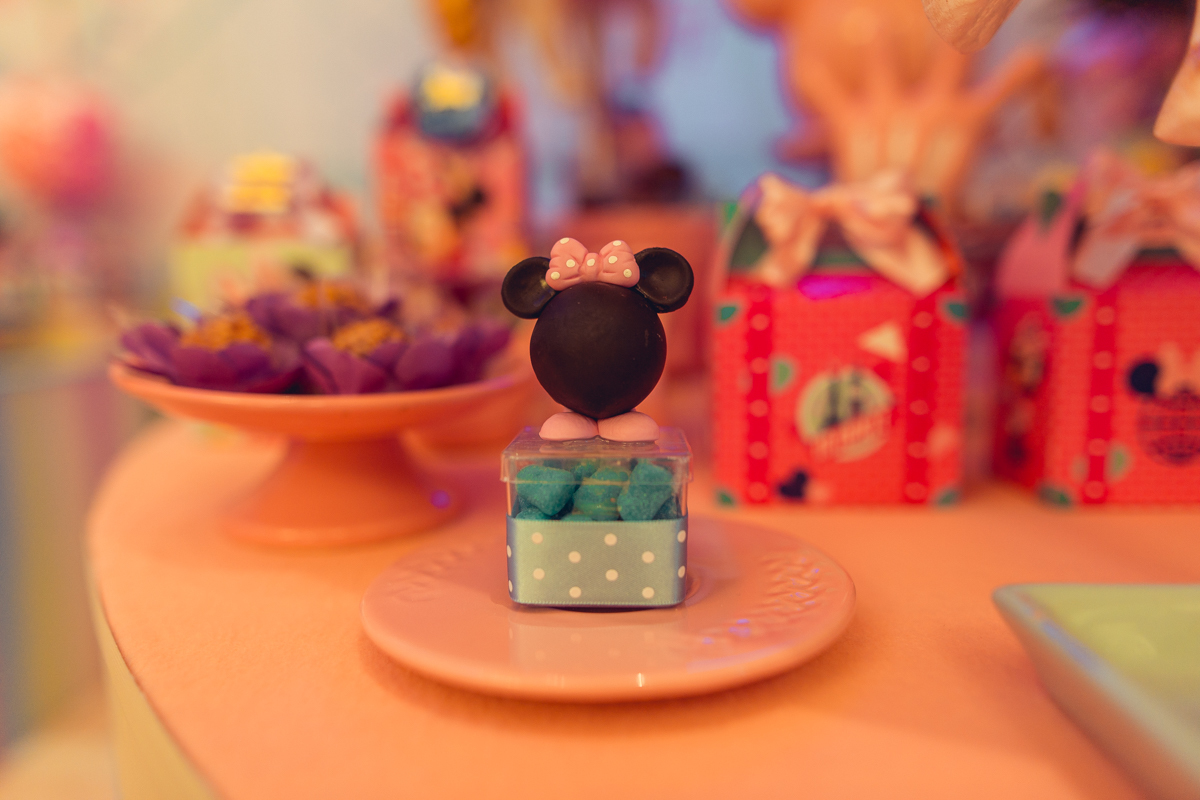 aniversario infantil salvador minnie 
 rosa festa 1 ano 2 fotografia foto fotografa fotografo decor party ideias diferente bolo bonito melhor perfeito buffet