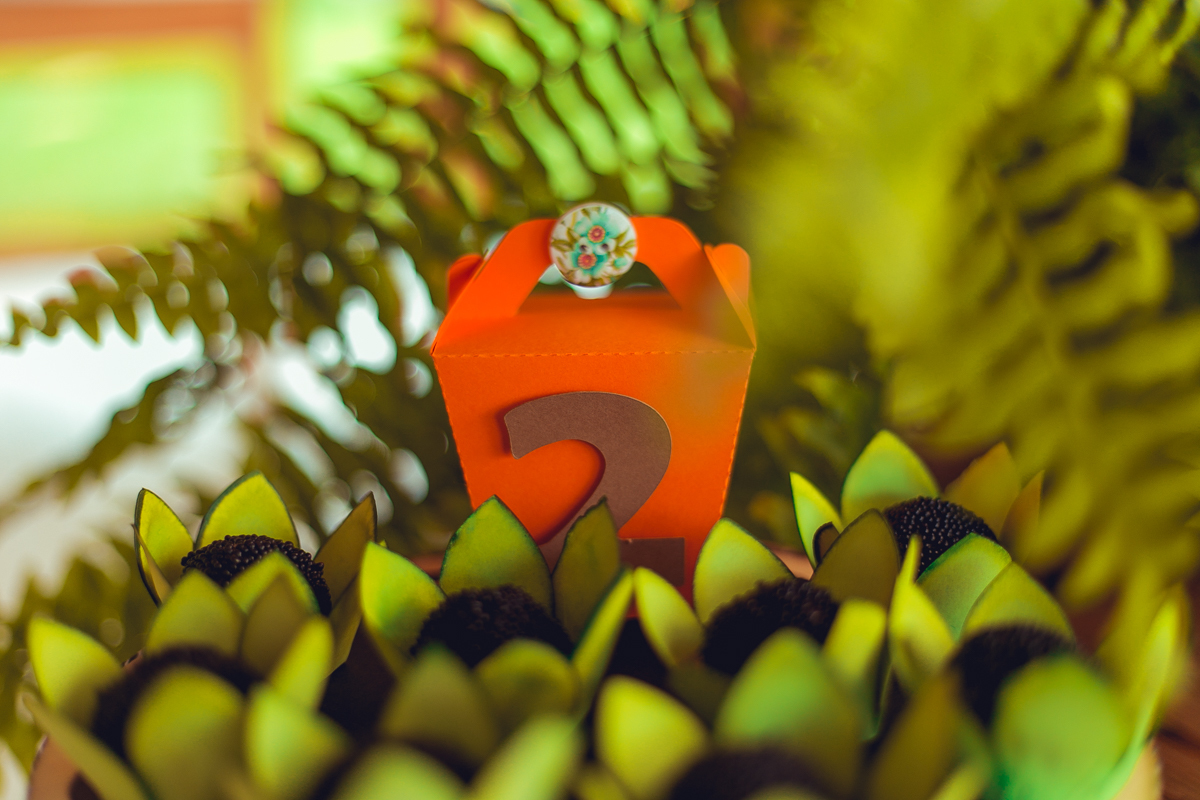 aniversario infantil espaço guatari fotografia foto fotografo melhor africa decoração festa 1 ano ideias diferente buffet roupa convidados salgados brinquedos verde