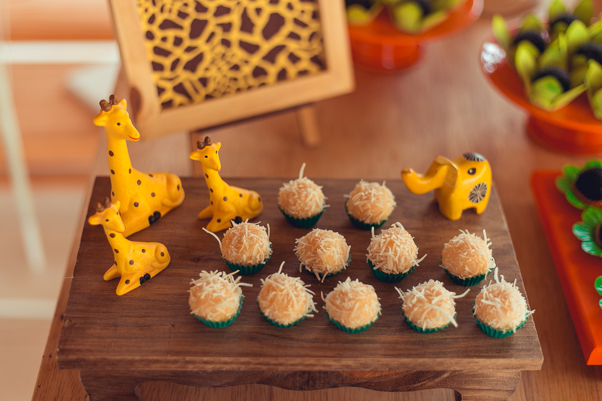 aniversario infantil espaço guatari fotografia foto fotografo melhor africa decoração festa 1 ano ideias diferente buffet roupa convidados salgados brinquedos verde