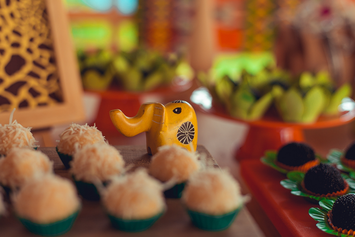 aniversario infantil espaço guatari fotografia foto fotografo melhor africa decoração festa 1 ano ideias diferente buffet roupa convidados salgados brinquedos verde