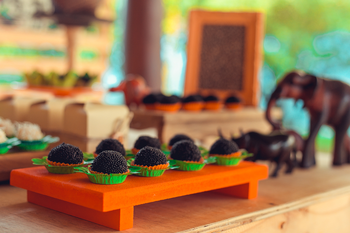 aniversario infantil espaço guatari fotografia foto fotografo melhor africa decoração festa 1 ano ideias diferente buffet roupa convidados salgados brinquedos verde