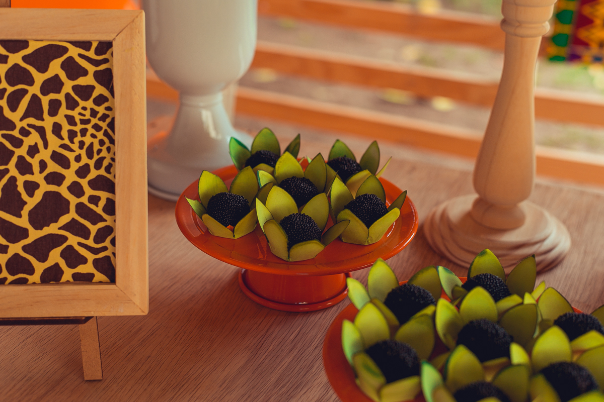 aniversario infantil espaço guatari fotografia foto fotografo melhor africa decoração festa 1 ano ideias diferente buffet roupa convidados salgados brinquedos verde