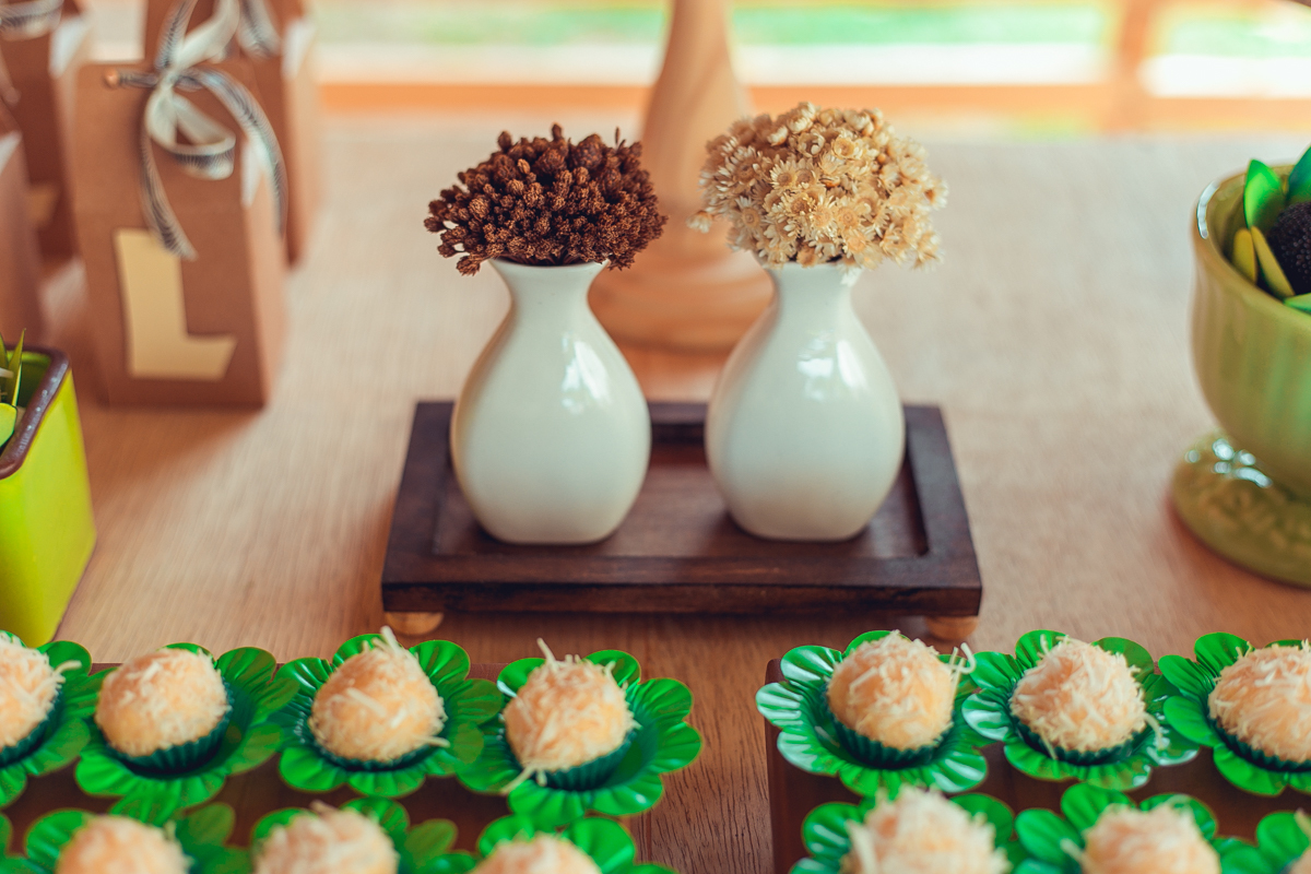 aniversario infantil espaço guatari fotografia foto fotografo melhor africa decoração festa 1 ano ideias diferente buffet roupa convidados salgados brinquedos verde