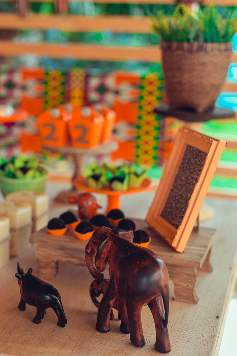 aniversario infantil espaço guatari fotografia foto fotografo melhor africa decoração festa 1 ano ideias diferente buffet roupa convidados salgados brinquedos verde