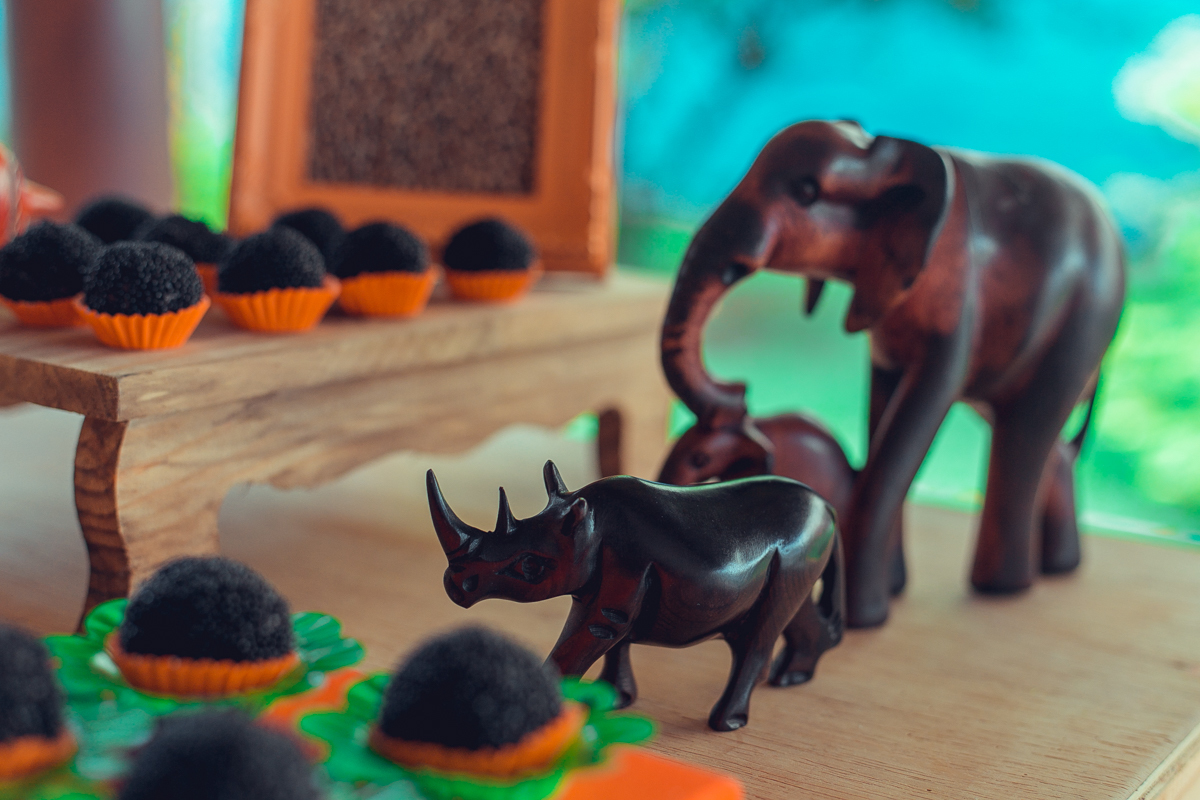 aniversario infantil espaço guatari fotografia foto fotografo melhor africa decoração festa 1 ano ideias diferente buffet roupa convidados salgados brinquedos verde