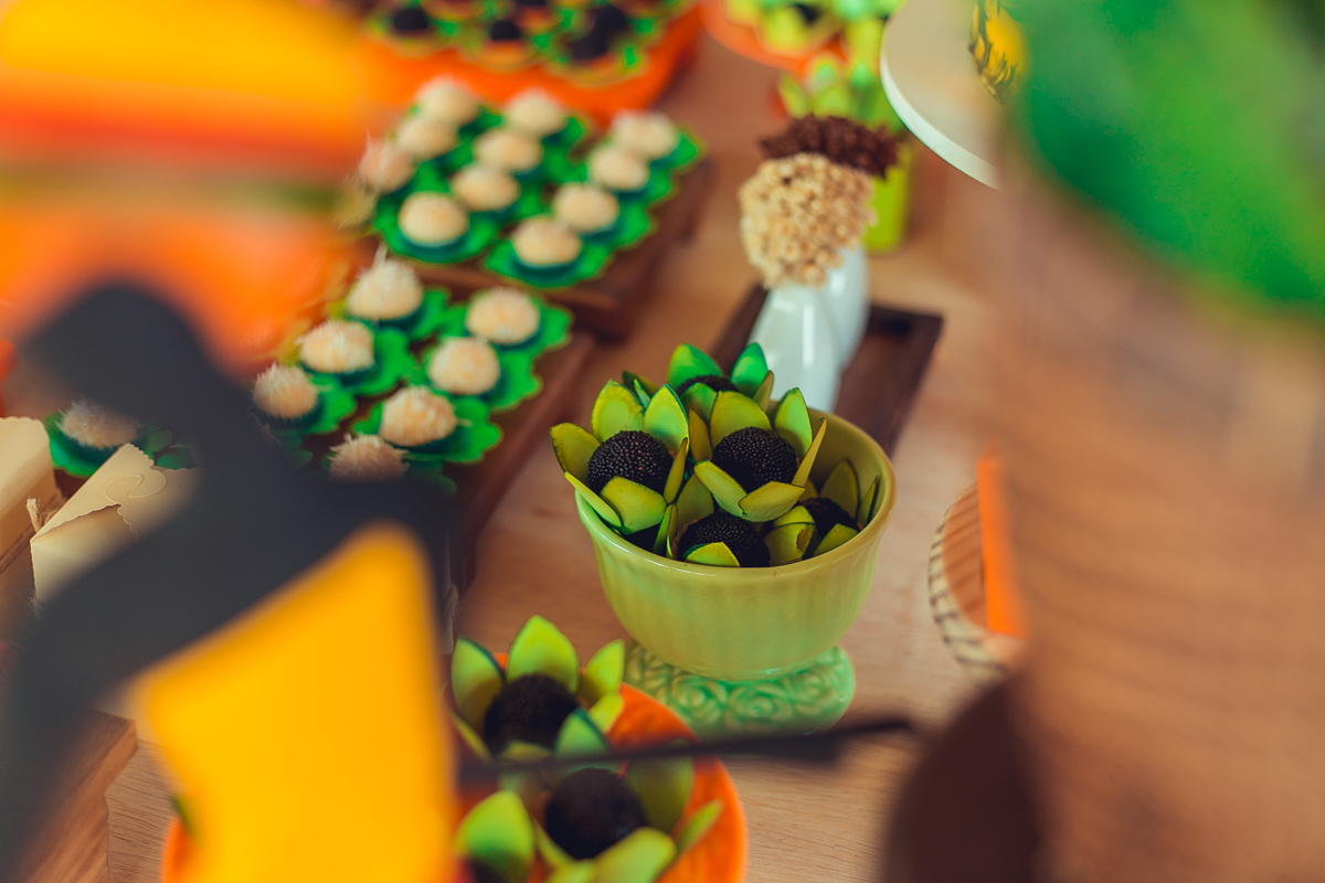 aniversario infantil espaço guatari fotografia foto fotografo melhor africa decoração festa 1 ano ideias diferente buffet roupa convidados salgados brinquedos verde