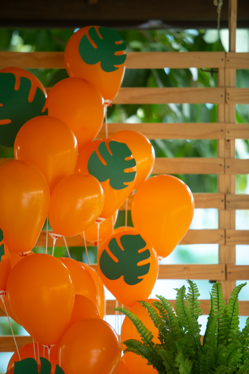 aniversario infantil espaço guatari fotografia foto fotografo melhor africa decoração festa 1 ano ideias diferente buffet roupa convidados salgados brinquedos verde