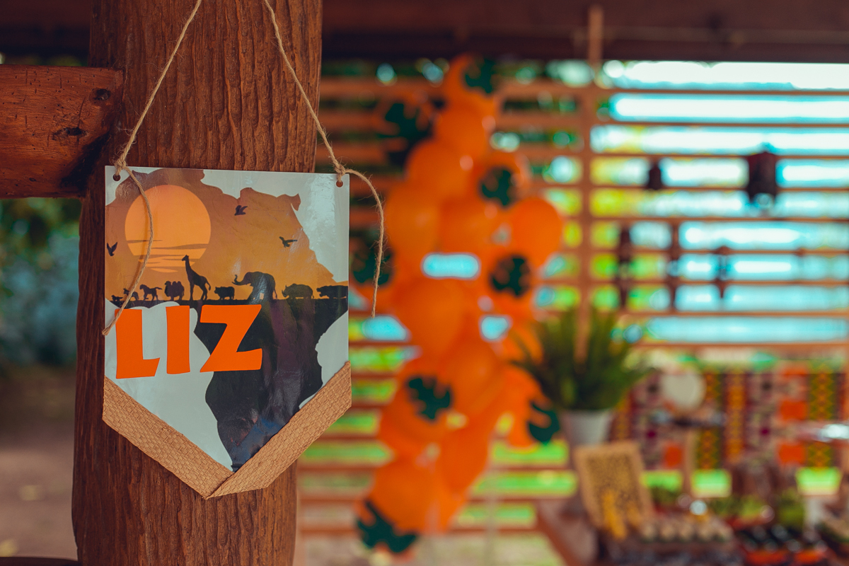 aniversario infantil espaço guatari fotografia foto fotografo melhor africa decoração festa 1 ano ideias diferente buffet roupa convidados salgados brinquedos verde