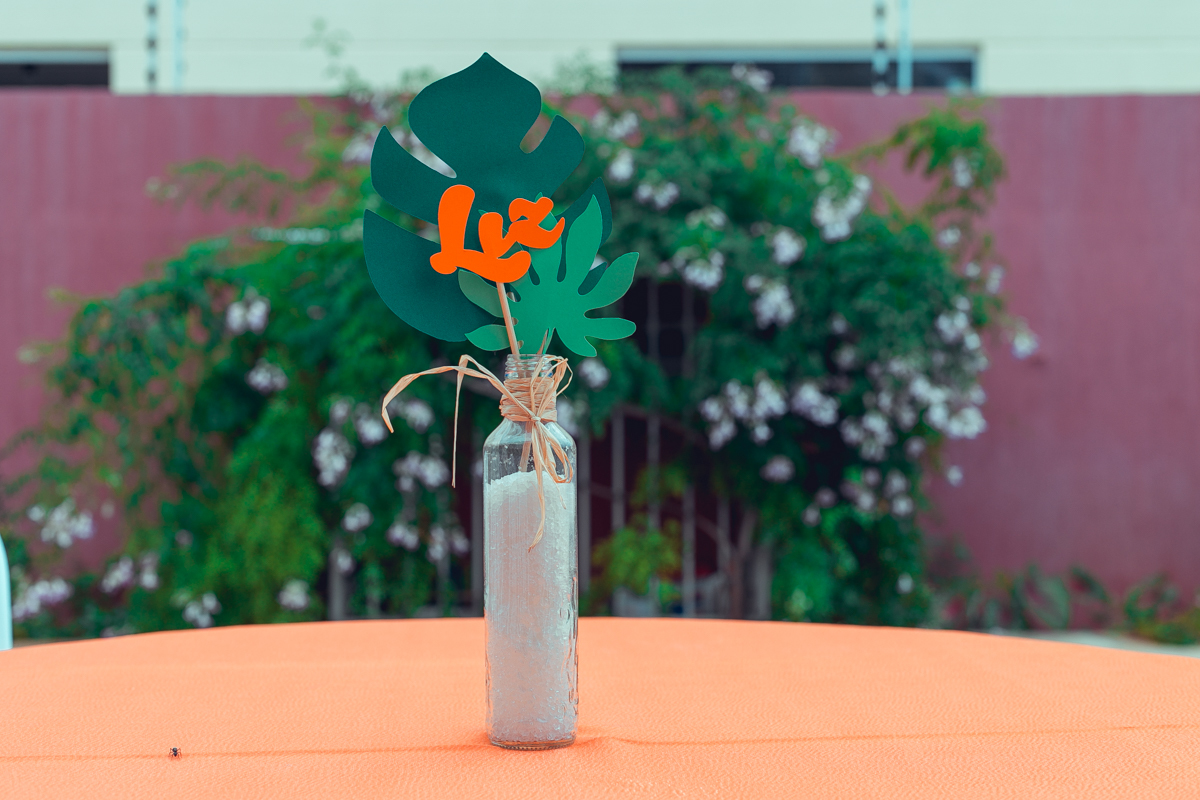 aniversario infantil espaço guatari fotografia foto fotografo melhor africa decoração festa 1 ano ideias diferente buffet roupa convidados salgados brinquedos verde