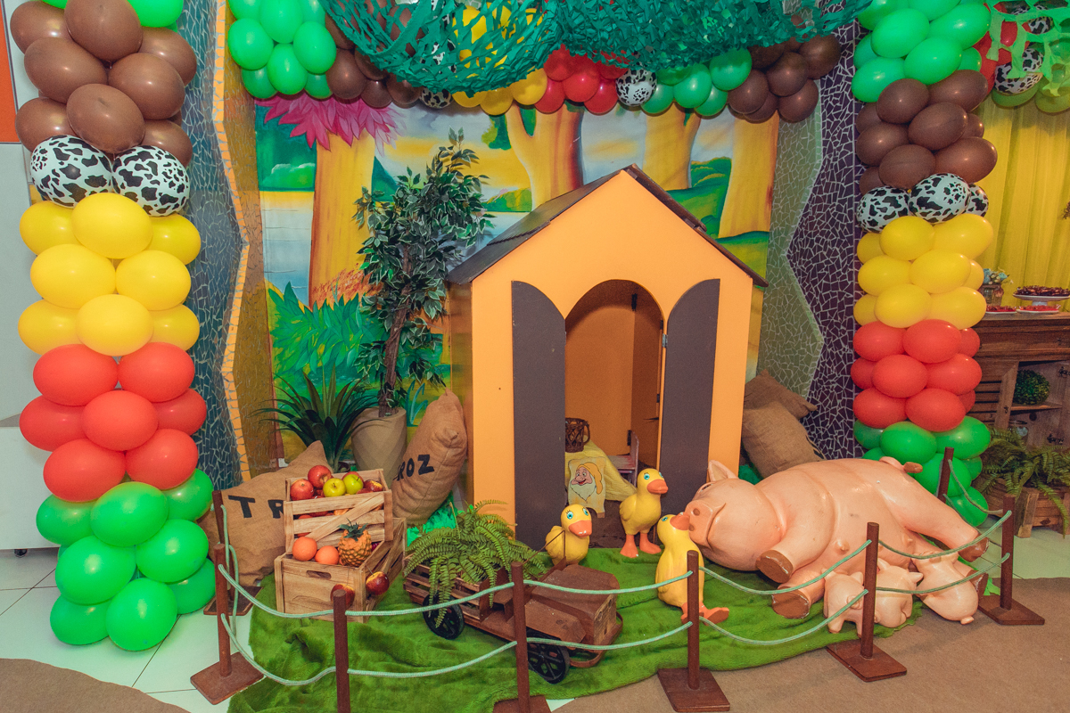buffet festeeco aniversario infantil decoração fazendinha salvador foto fotografa fotografia fotografo 1 ano brinquedos diversao melhor