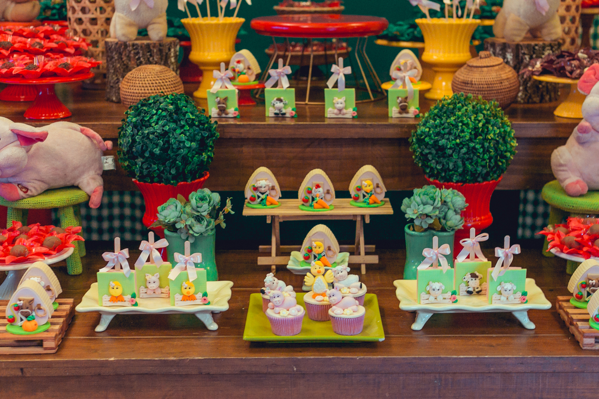 buffet festeeco aniversario infantil decoração fazendinha salvador foto fotografa fotografia fotografo 1 ano brinquedos diversao melhor