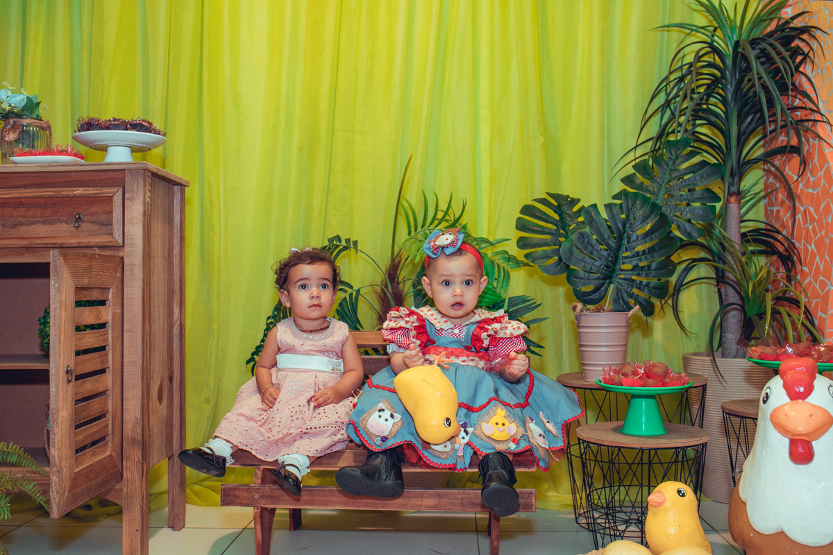 buffet festeeco aniversario infantil decoração fazendinha salvador foto fotografa fotografia fotografo 1 ano brinquedos diversao melhor