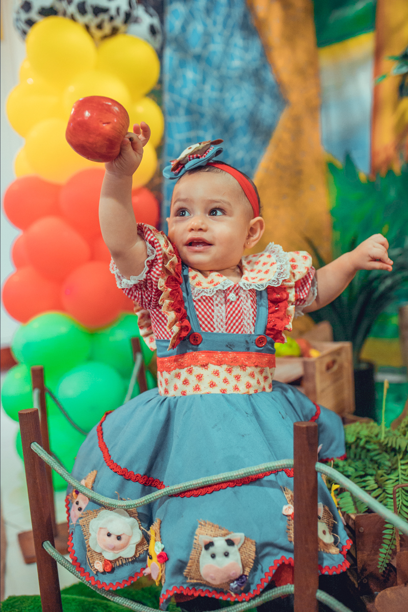 buffet festeeco aniversario infantil decoração fazendinha salvador foto fotografa fotografia fotografo 1 ano brinquedos diversao melhor