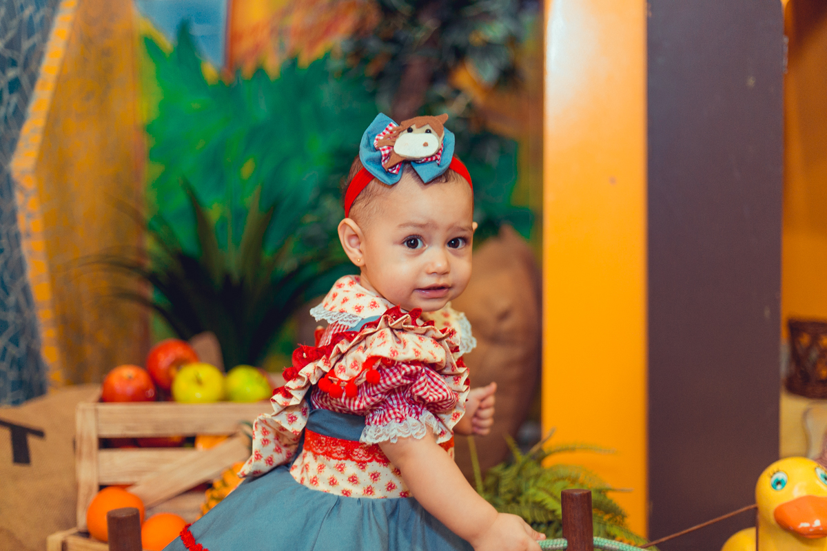 buffet festeeco aniversario infantil decoração fazendinha salvador foto fotografa fotografia fotografo 1 ano brinquedos diversao melhor