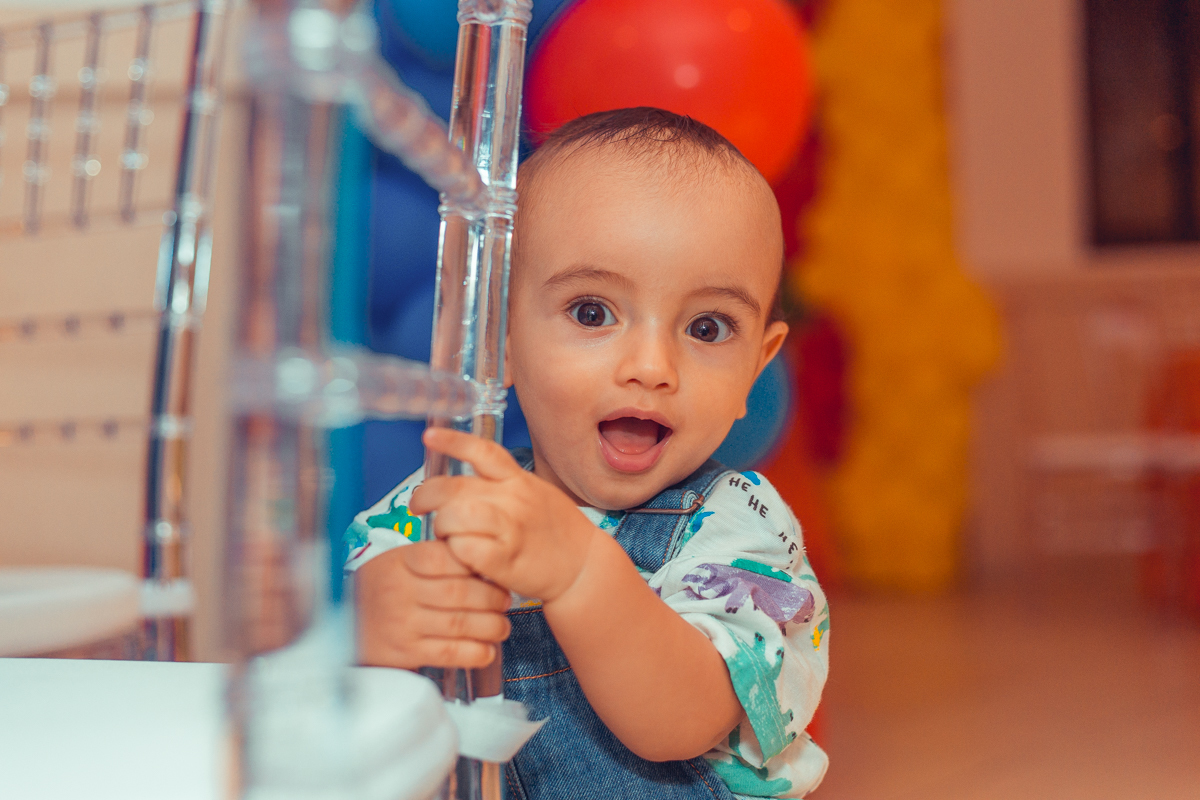 senhoritas fotografia foto fotografo fotografa aniversario infantil salvador buffet decoração mundo bita 1 um ano 