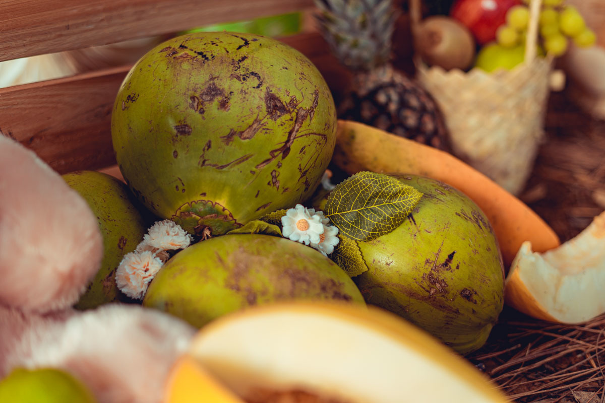smash the cake fruit picnic foto fotografia cenario externo natureza frutas 1 ano senhoritas salvador aniversario decoração barraquinha barraca