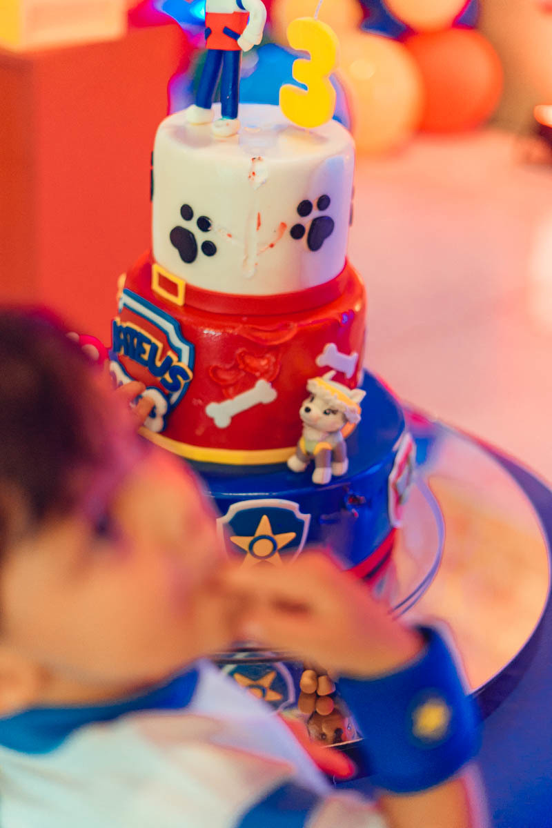 aniversario patrulha canina salvador casa de stella senhoritas fotografia decoração fotografa fotografo festa infantil