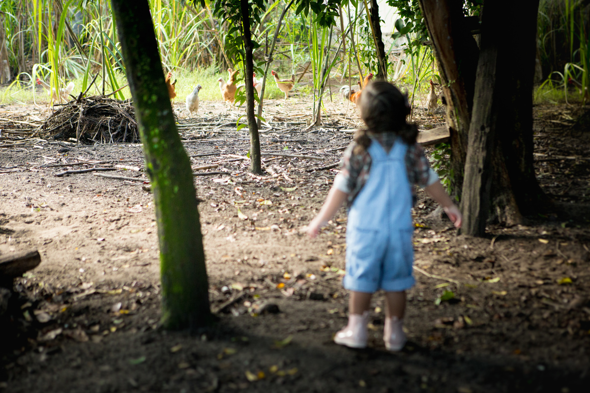 ensaio infantil fazendinha