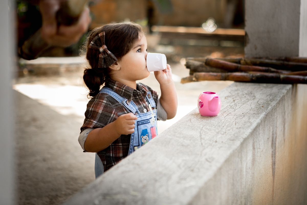 ensaio infantil fazendinha