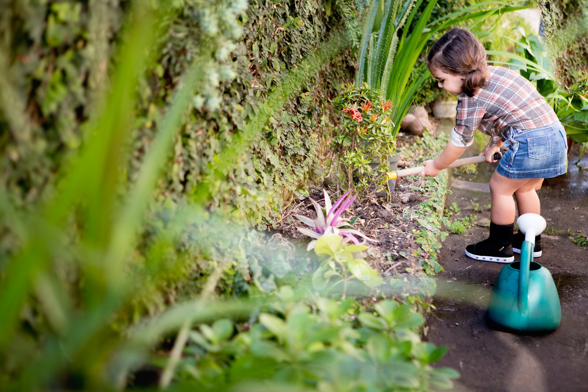 ensaio infantil fazendinha