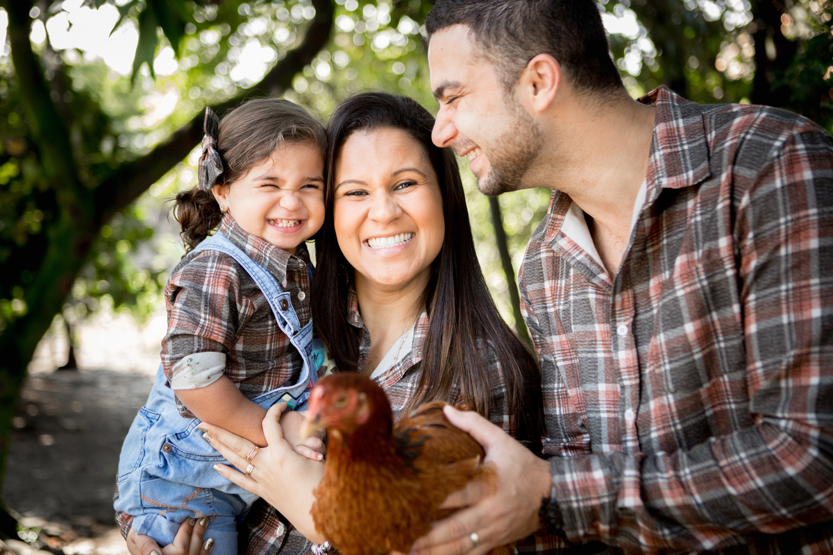 ensaio infantil fazendinha